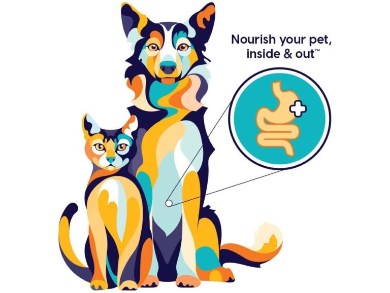 תזונת כלבים